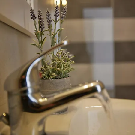 Cicada 2* Толон