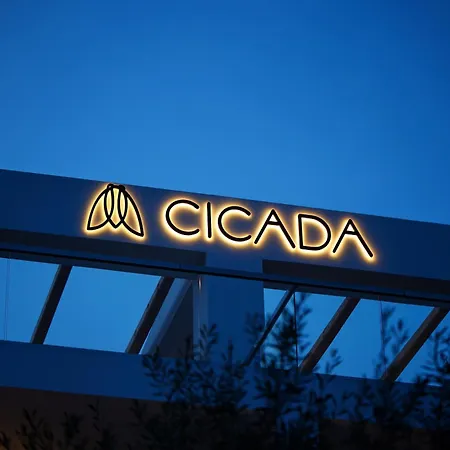 Cicada
